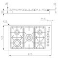 P. COTT. 5 GAS INC. FT INOX 873X513 PROFESSIONALE FOSTER